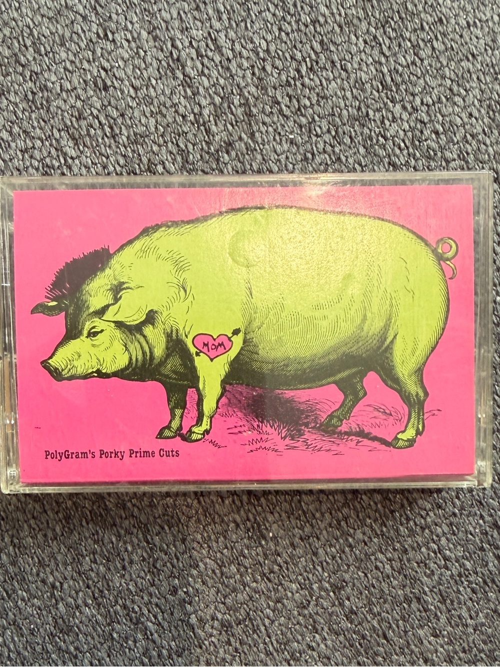 Pink & Lime Green Decorative Small Pets Poster - Unbranded